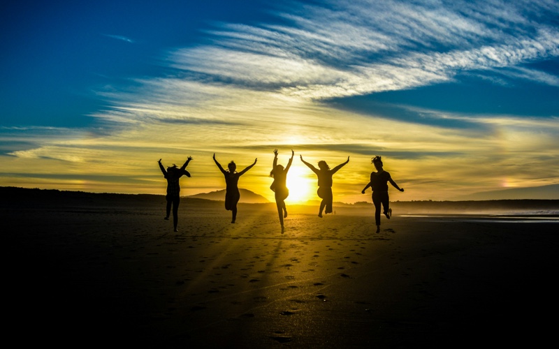 CARROT success stories